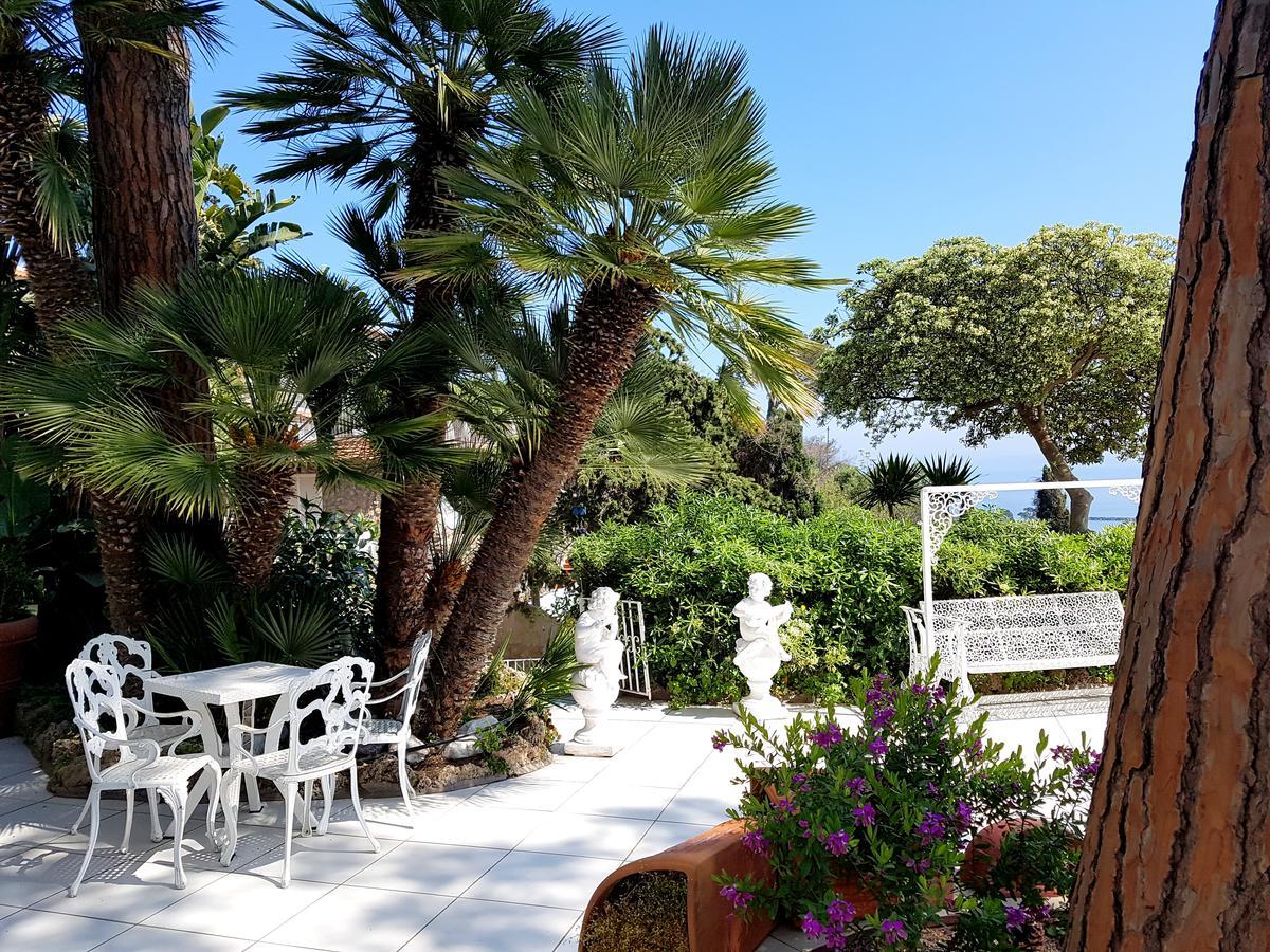 Ischia Dream Visions Apartment Екстериор снимка