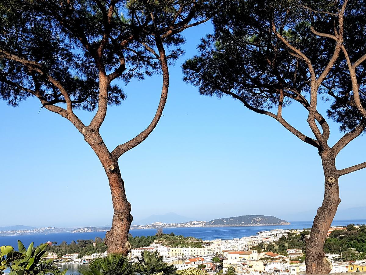 Ischia Dream Visions Apartment Екстериор снимка