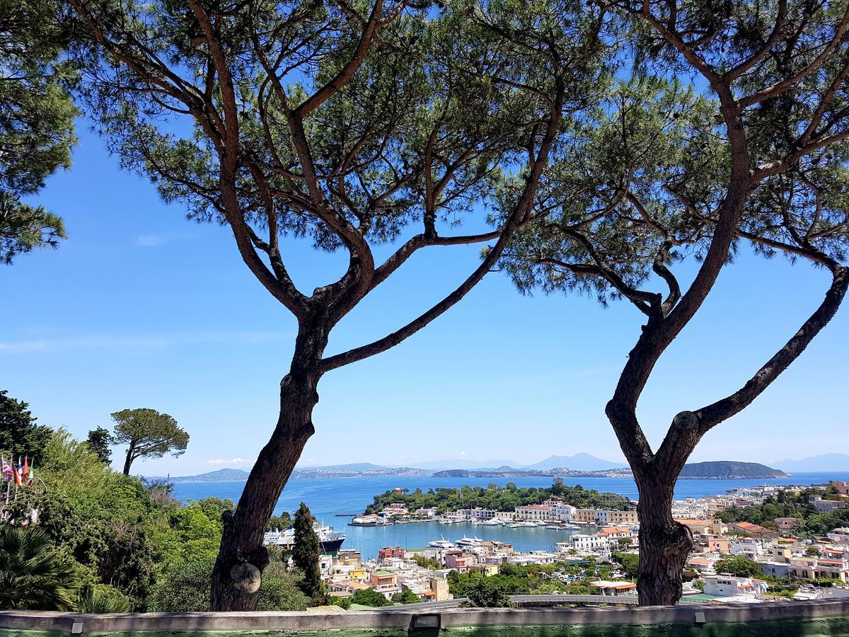 Ischia Dream Visions Apartment Екстериор снимка