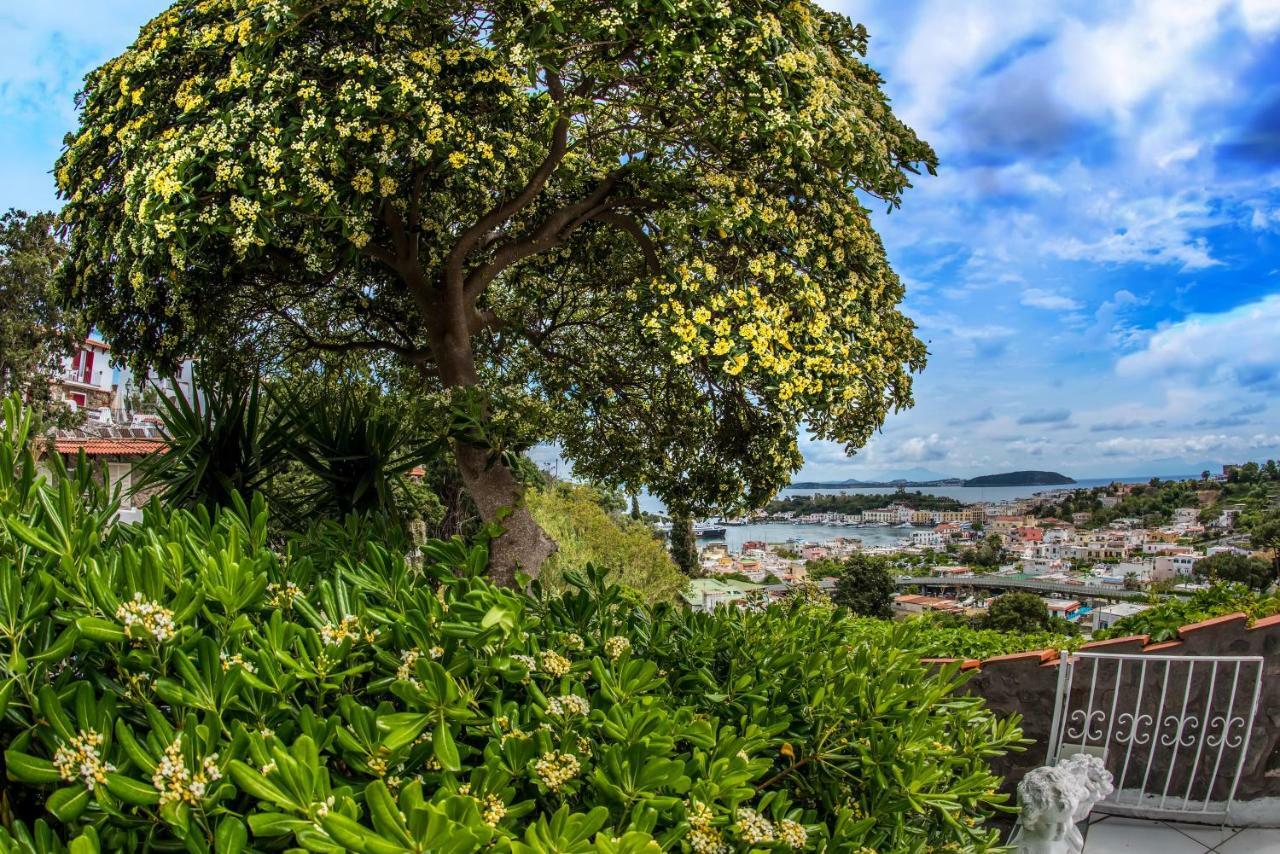 Ischia Dream Visions Apartment Екстериор снимка