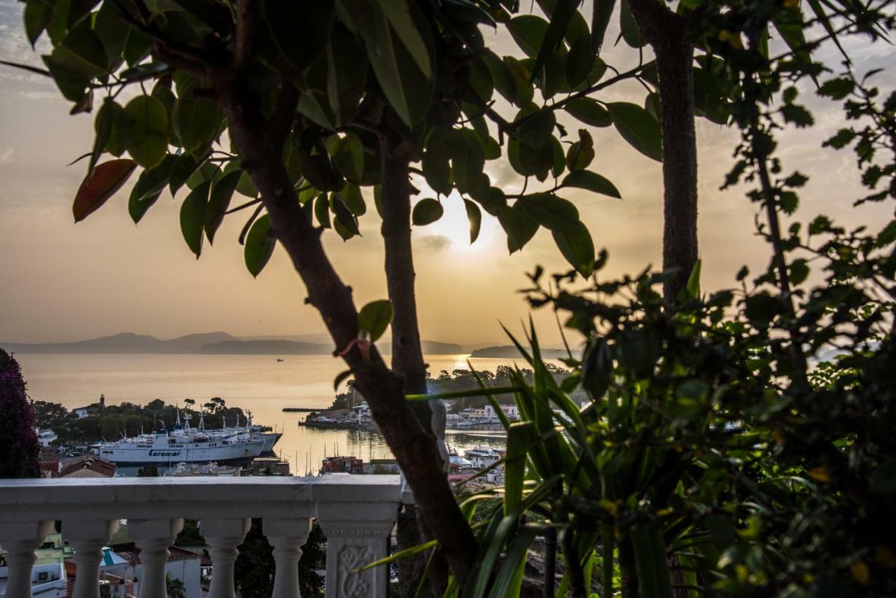 Ischia Dream Visions Apartment Екстериор снимка