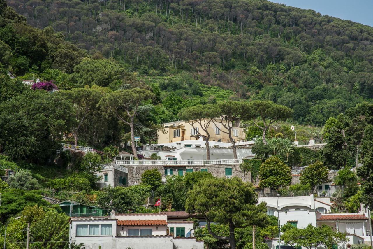 Ischia Dream Visions Apartment Екстериор снимка