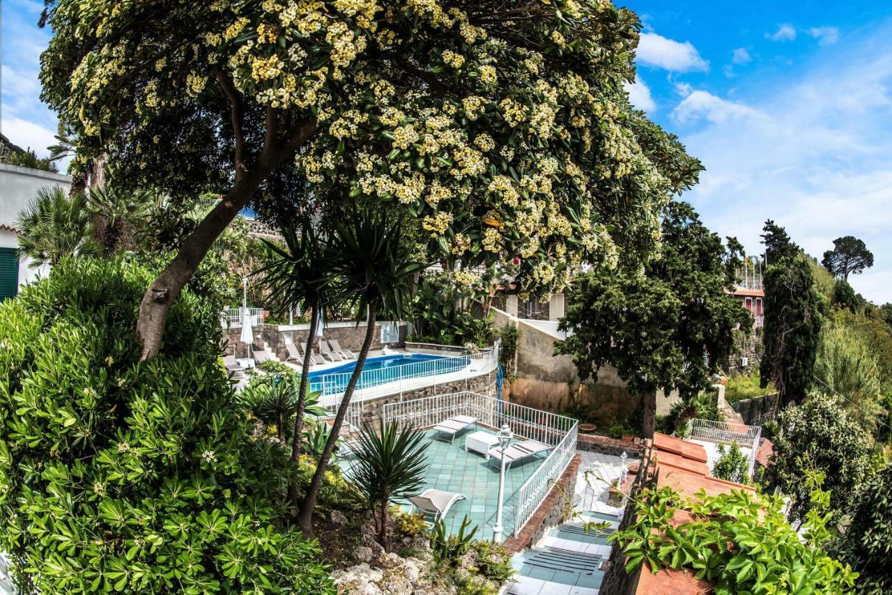 Ischia Dream Visions Apartment Екстериор снимка